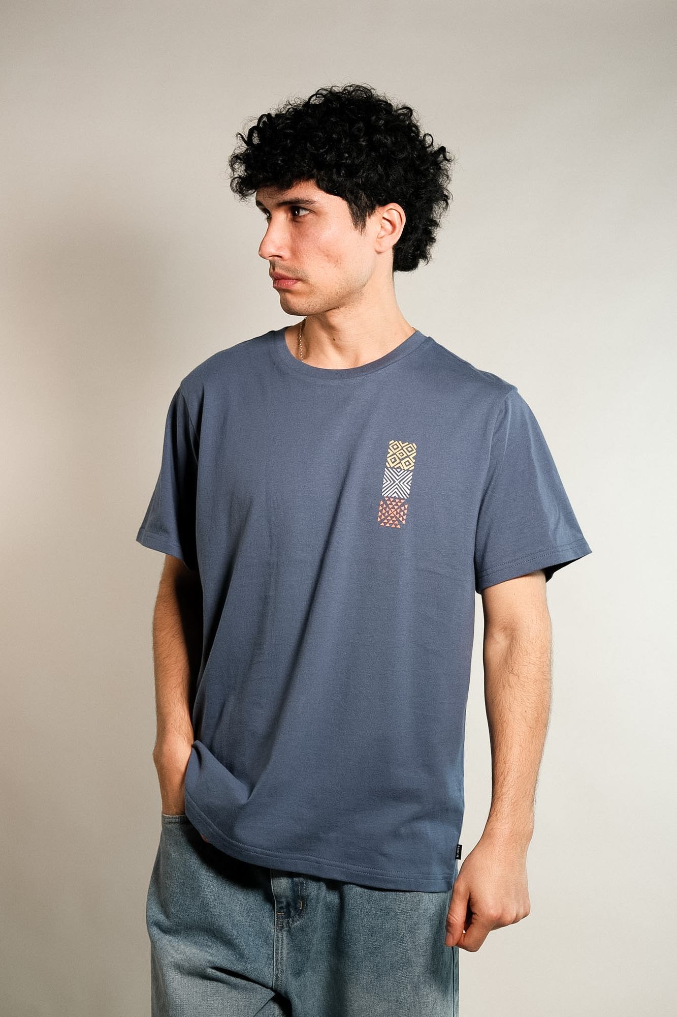 Remera estampada Fleitas 
