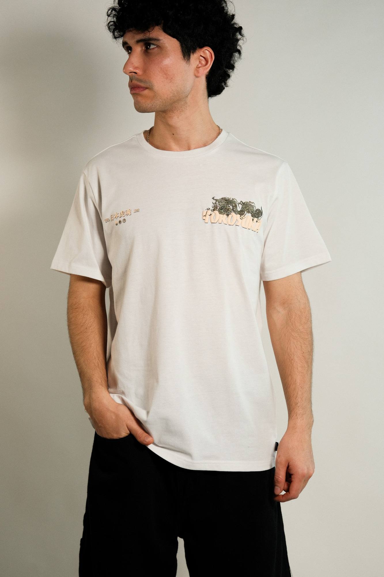 Remera estampada Ansina 