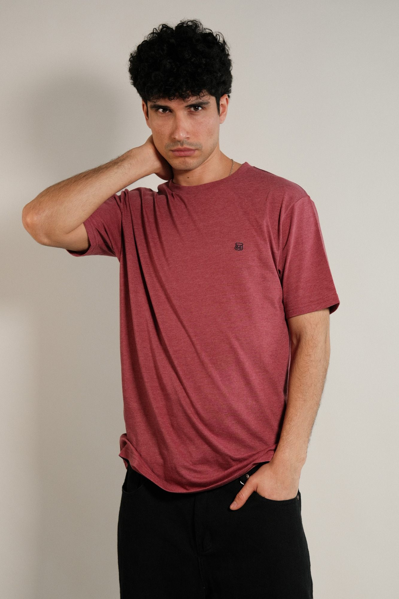 Remera lisa Hans