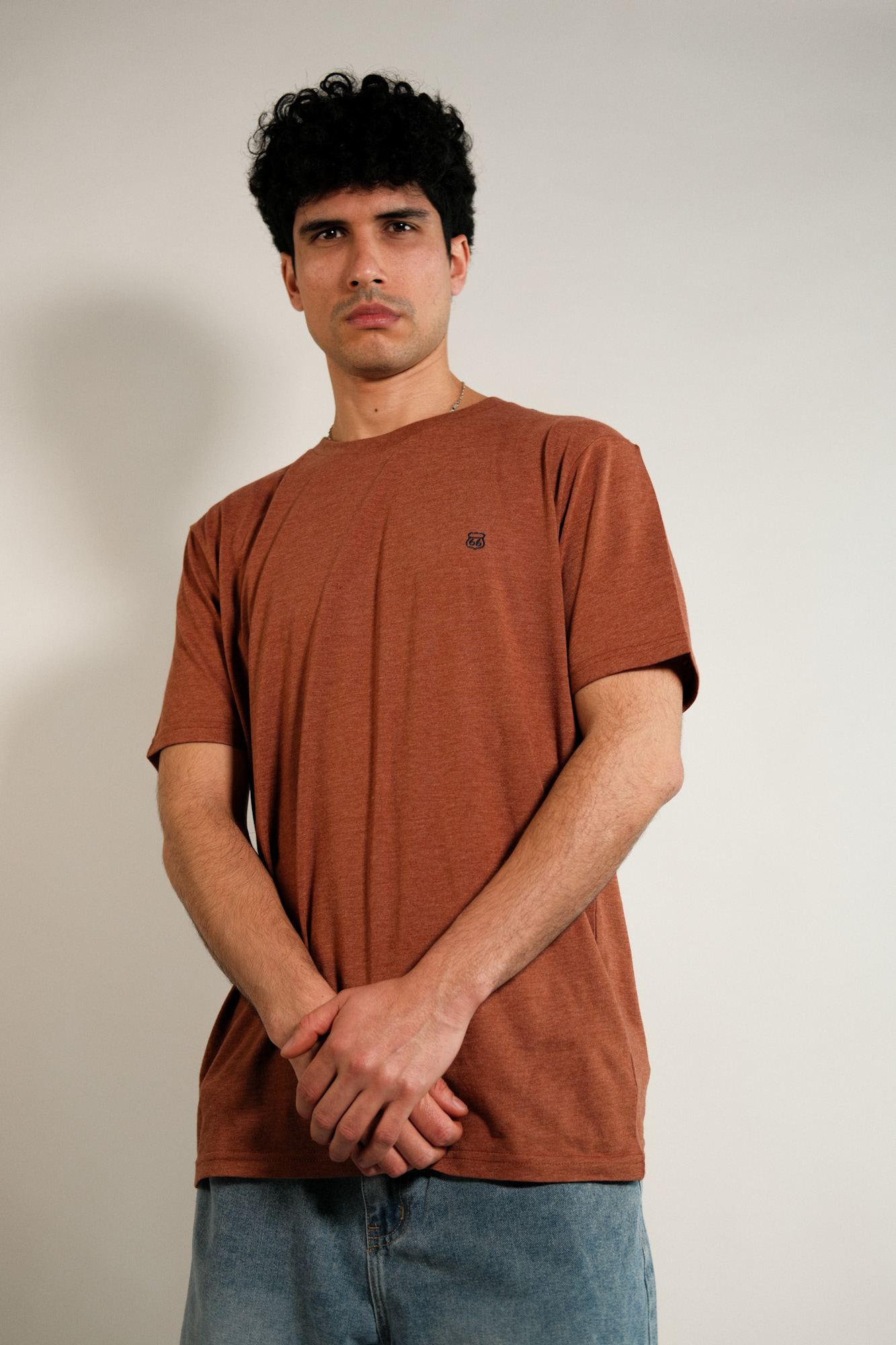 Remera lisa Hans