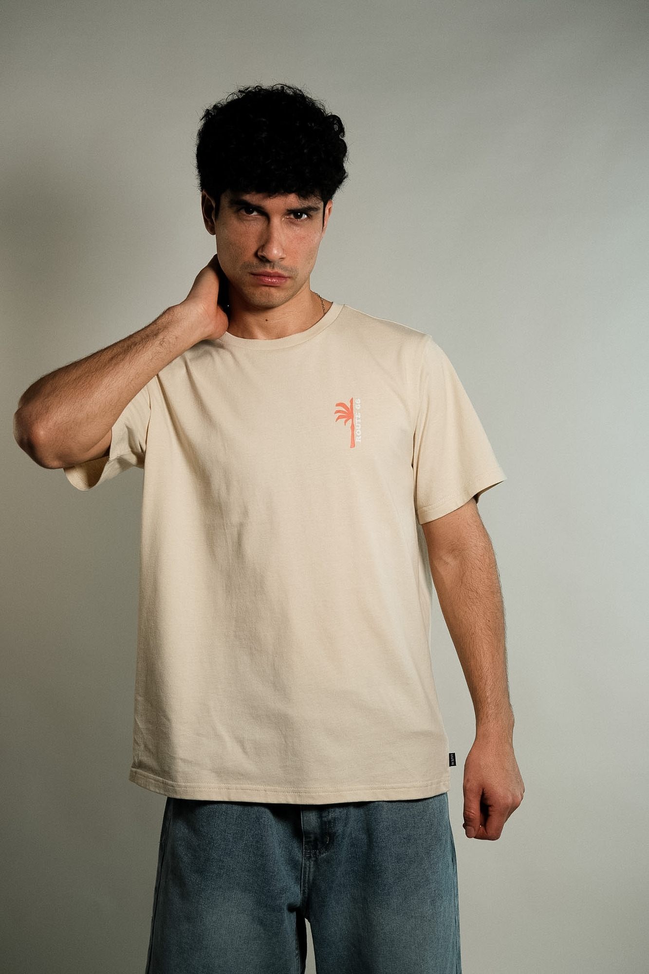 Remera estampada Fleitas 