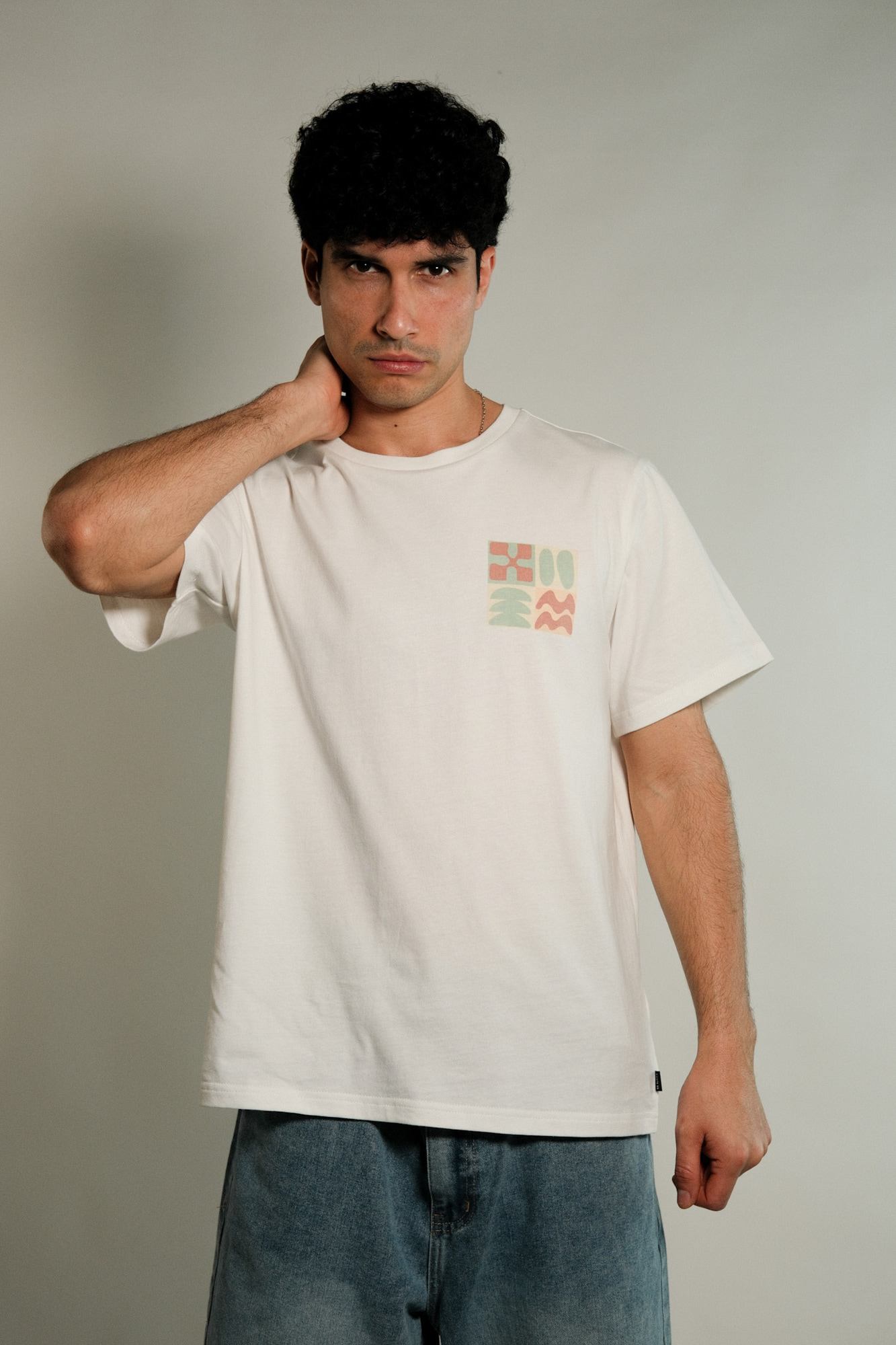 Remera estampada Fleitas 
