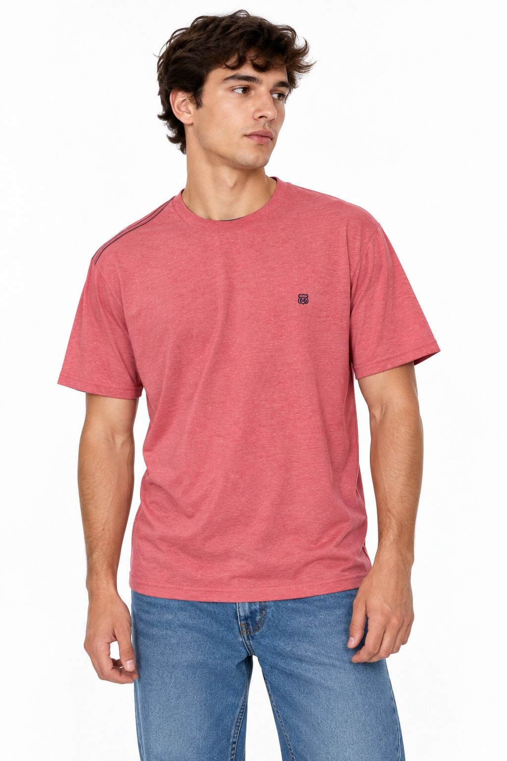 Remera lisa Hans