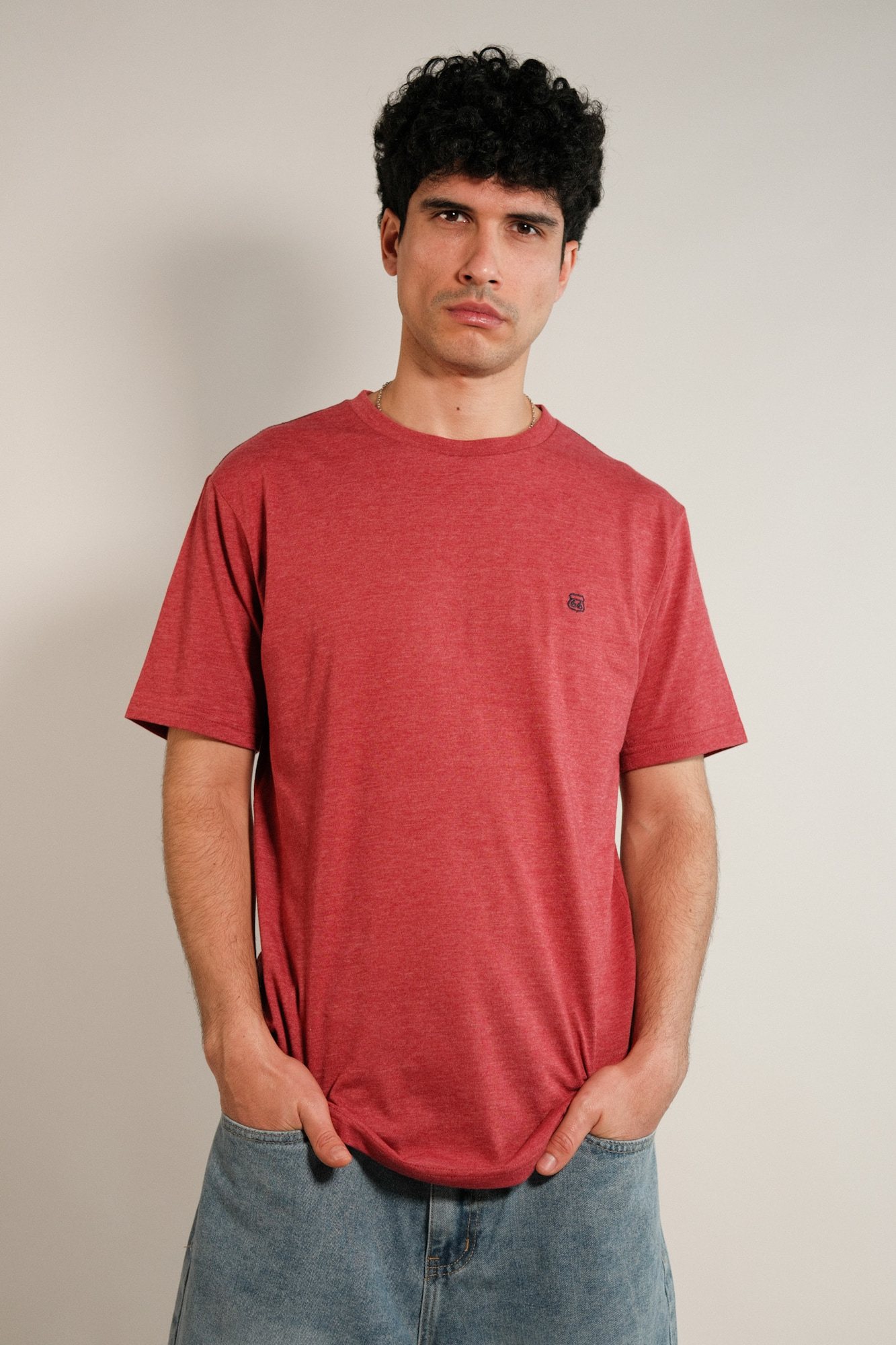Remera lisa Hans
