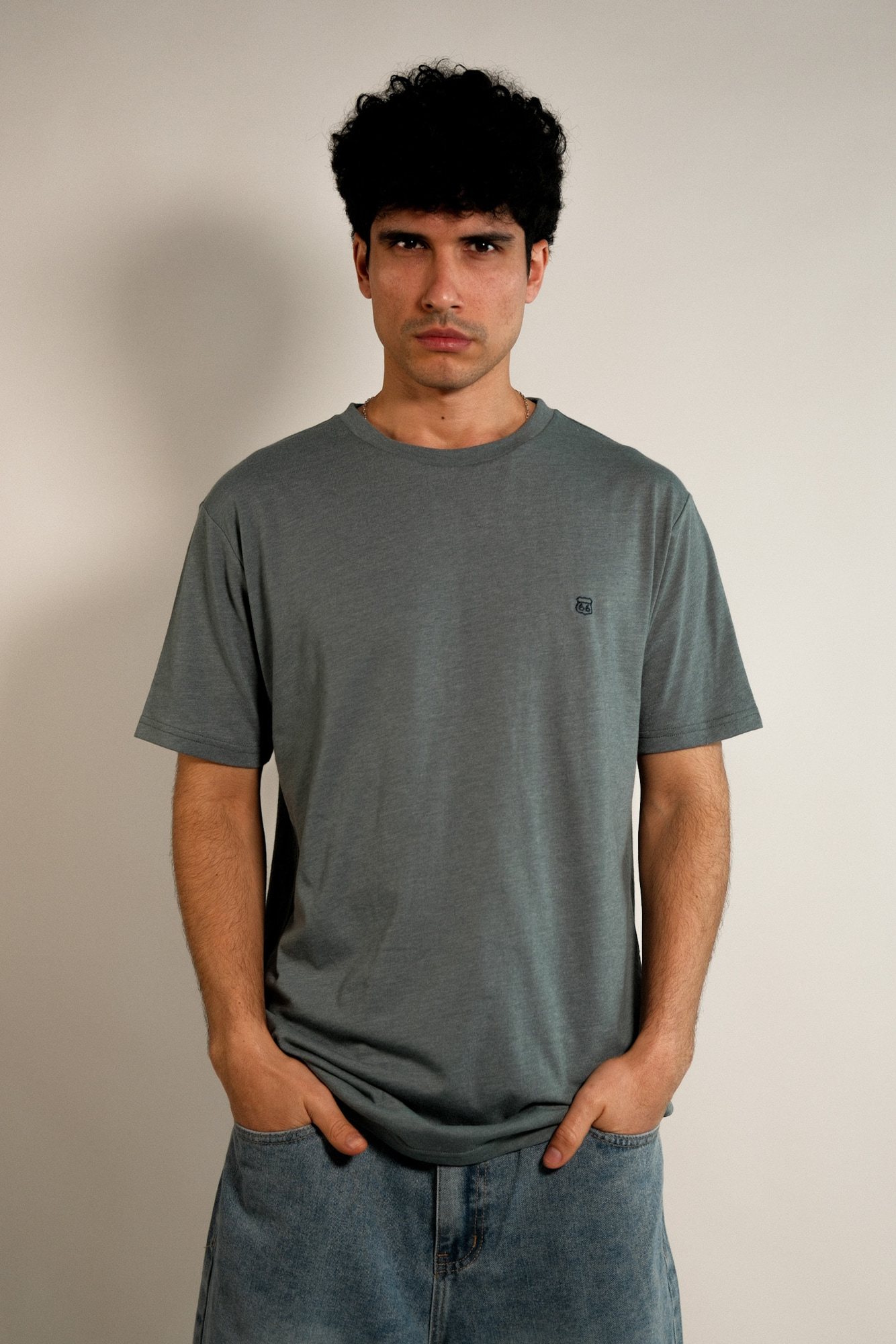 Remera lisa Hans