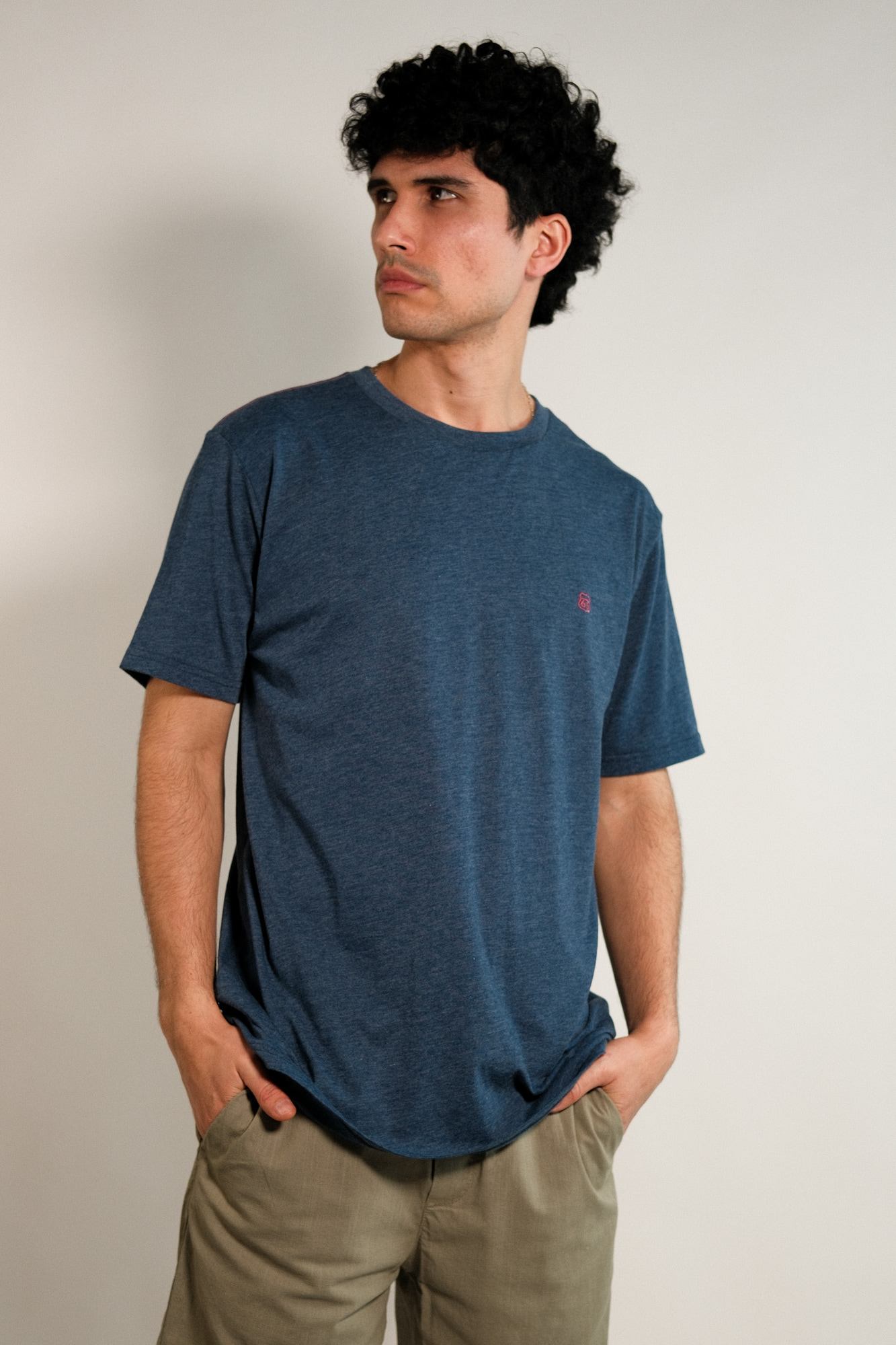 Remera lisa Hans