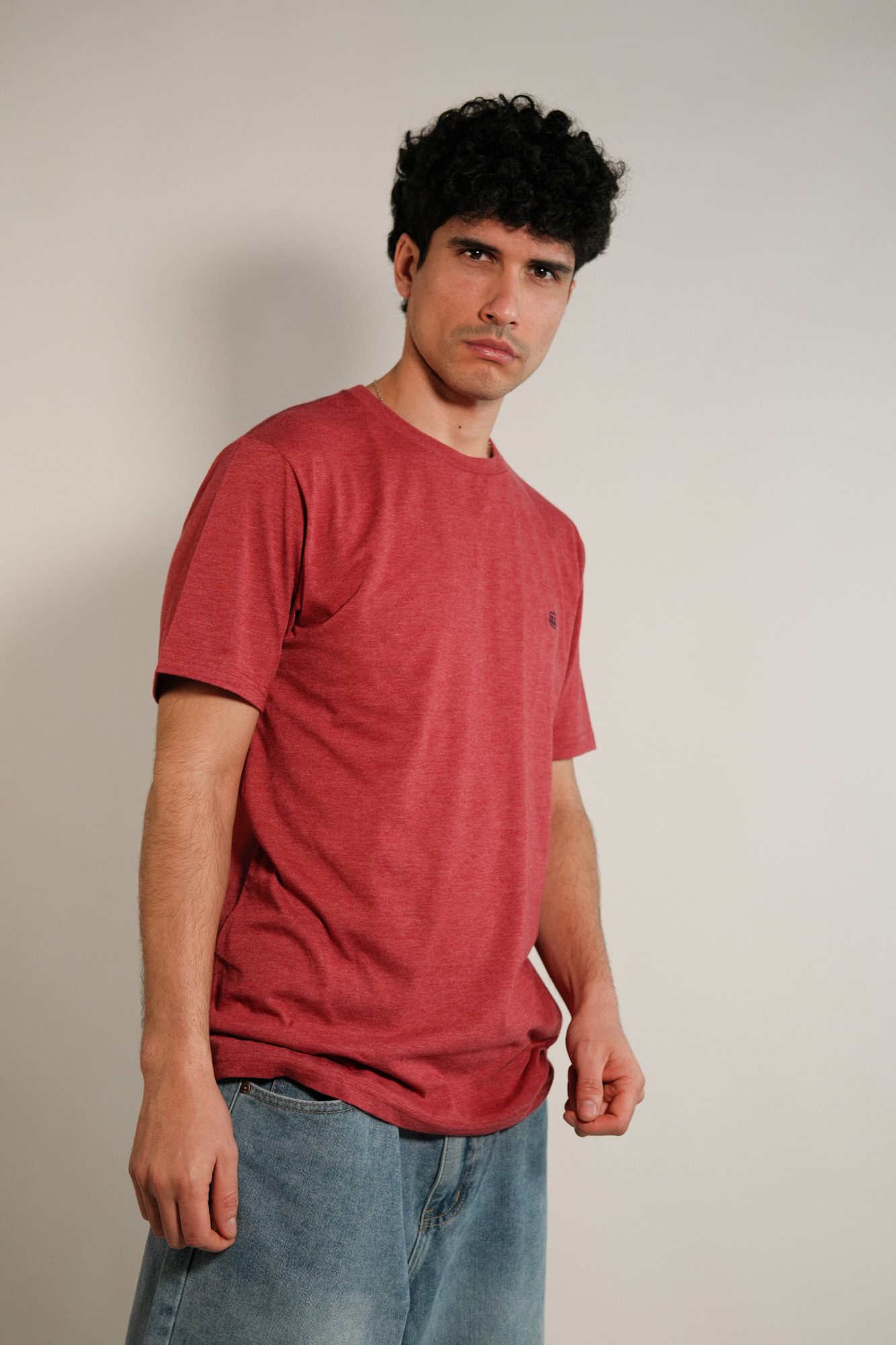 Remera lisa Hans