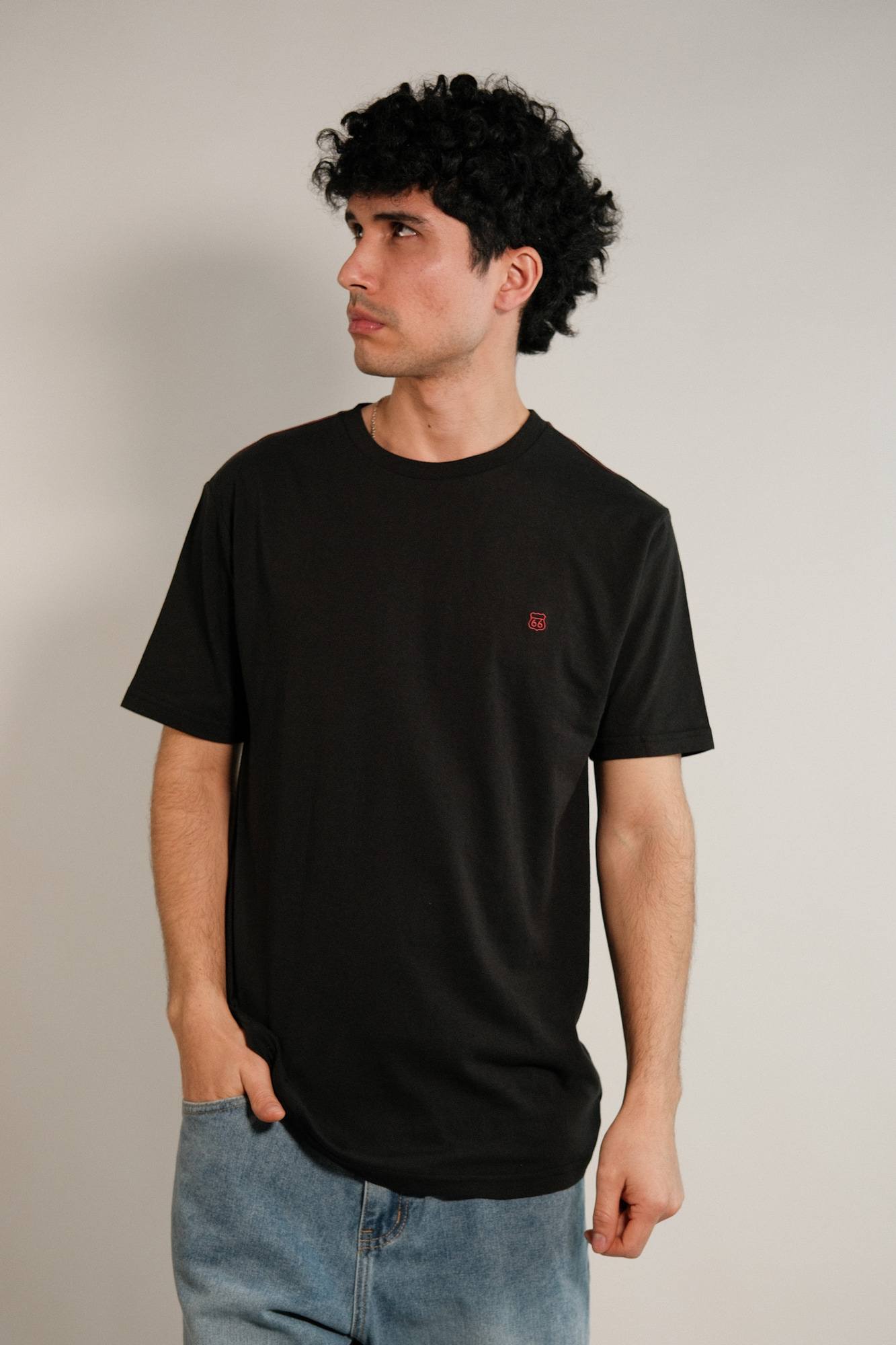 Remera lisa Hans