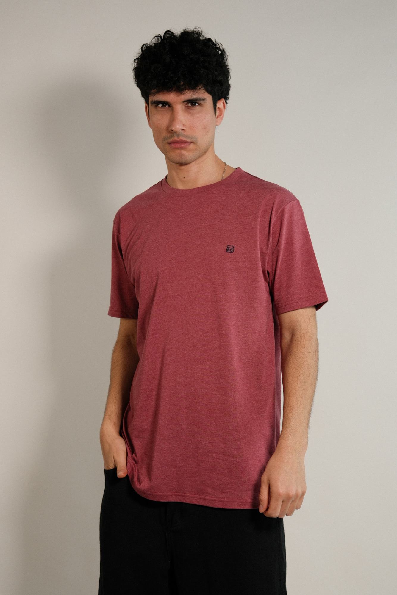 Remera lisa Hans