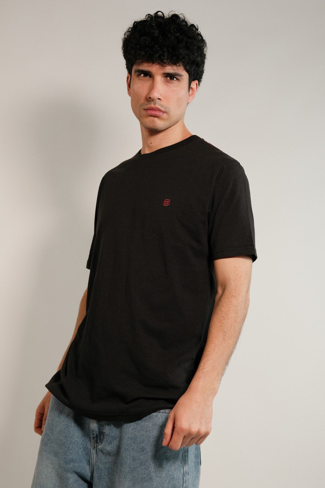 Remera lisa Hans
