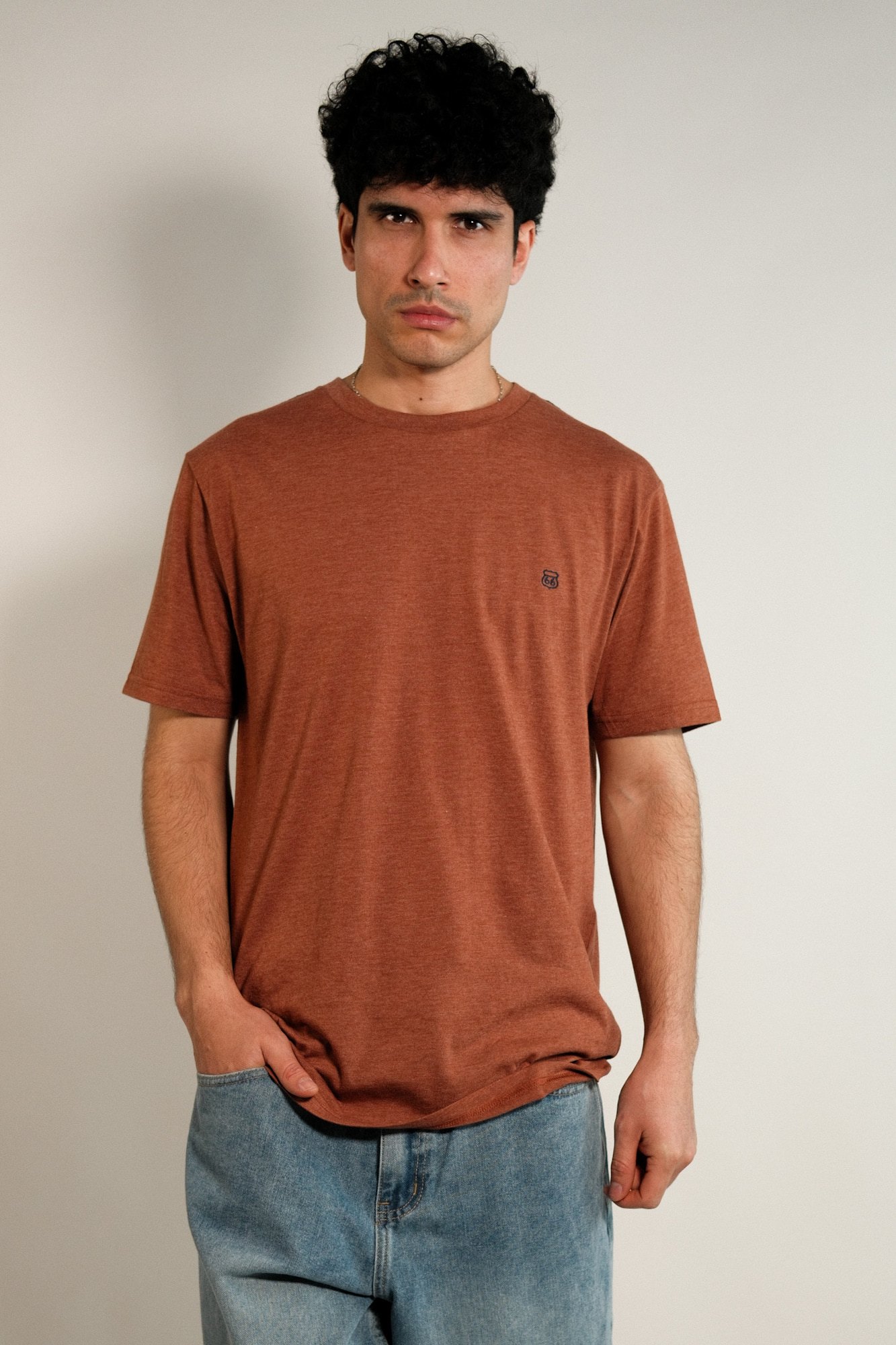 Remera lisa Hans
