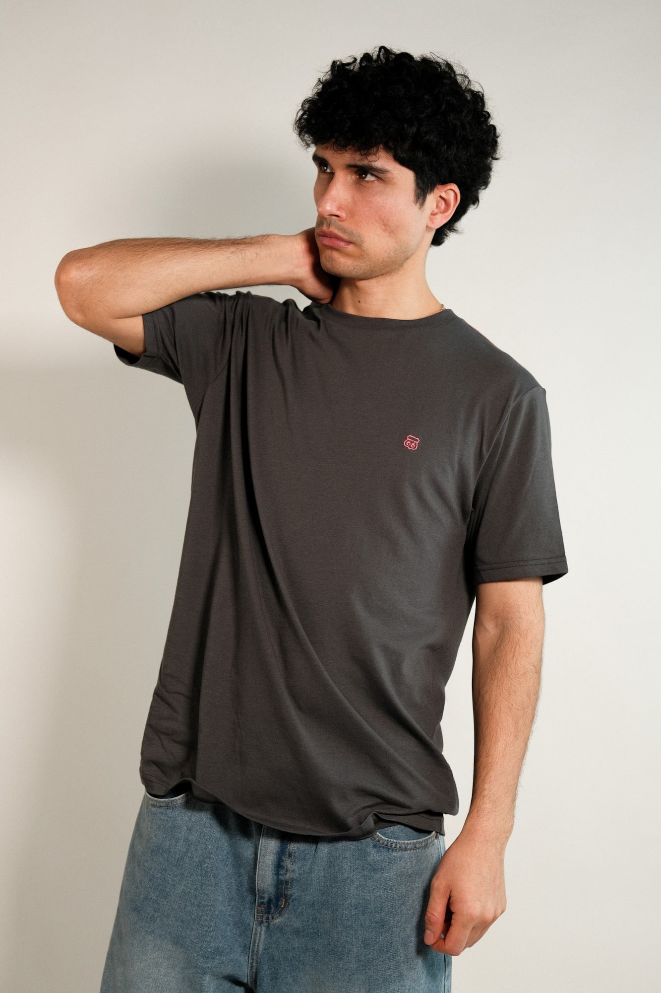 Remera lisa Hans
