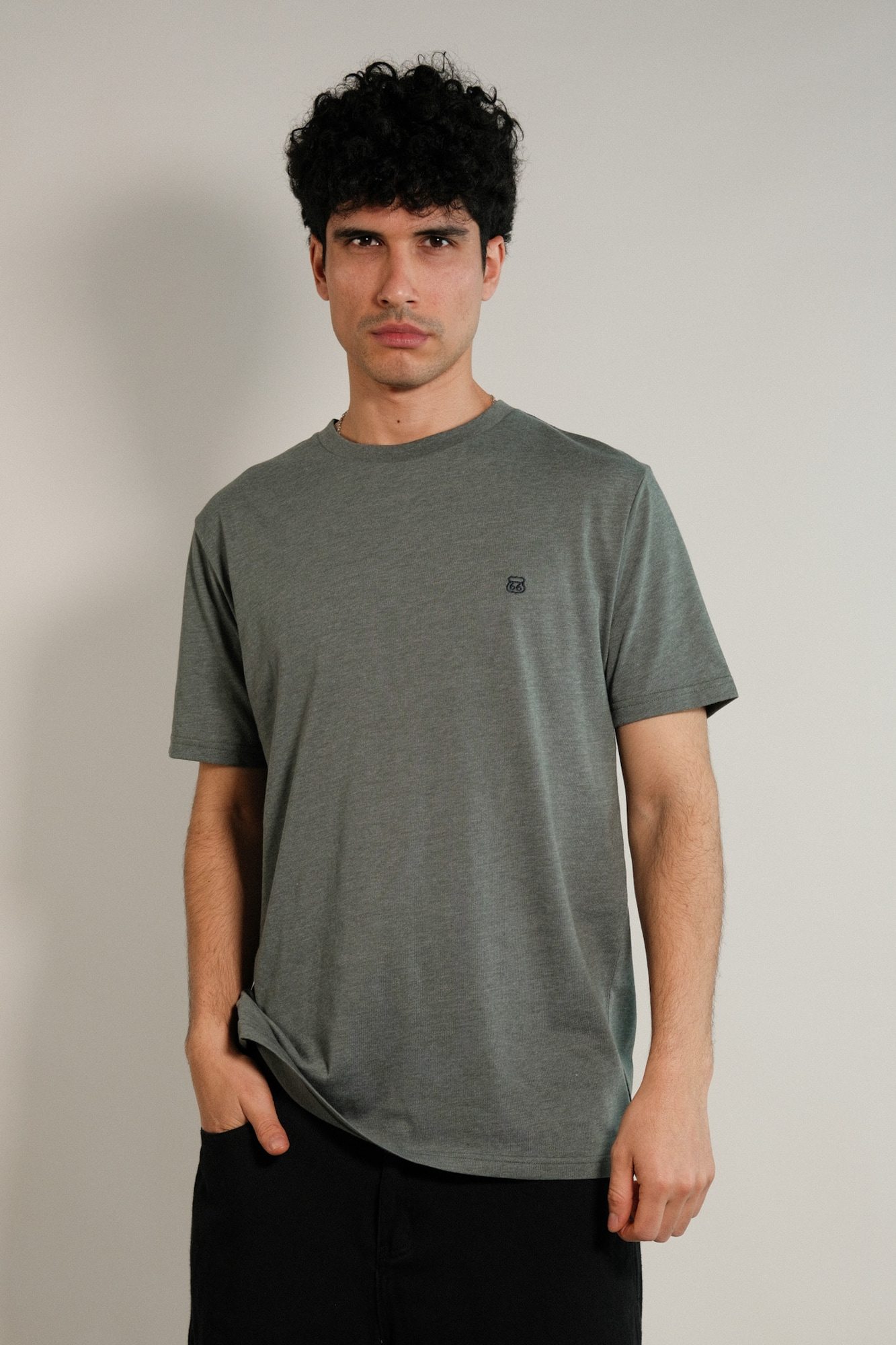 Remera lisa Hans