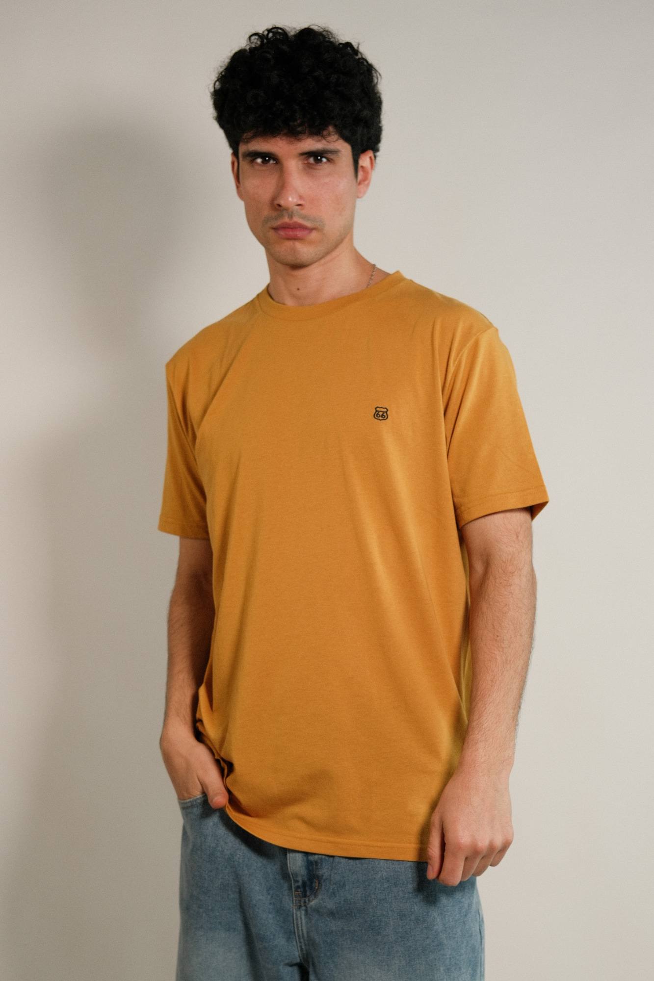 Remera lisa Hans