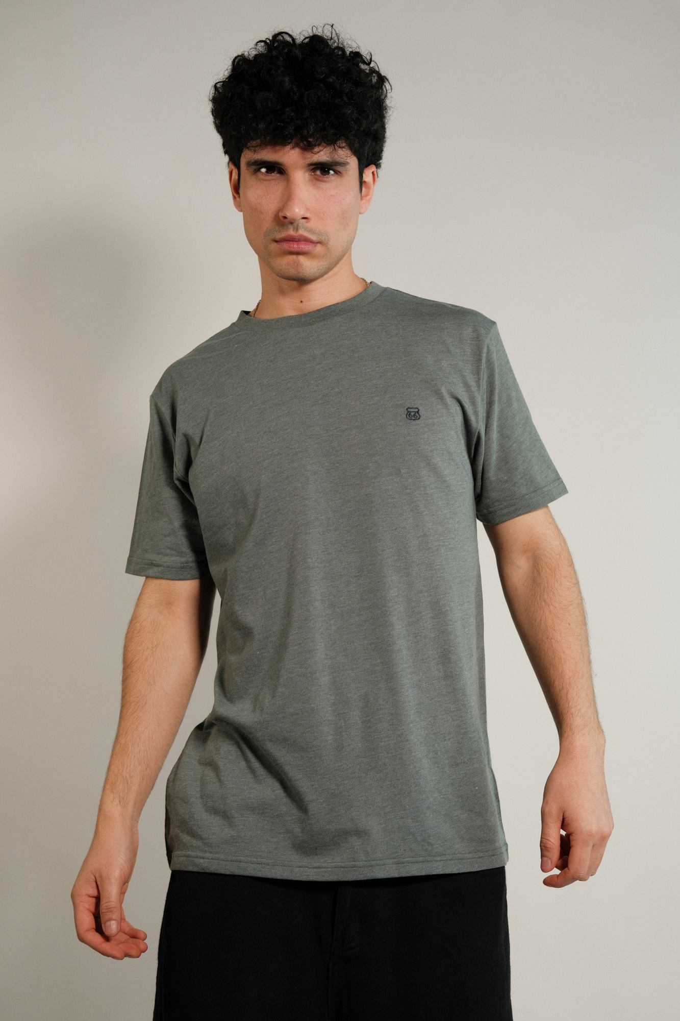 Remera lisa Hans