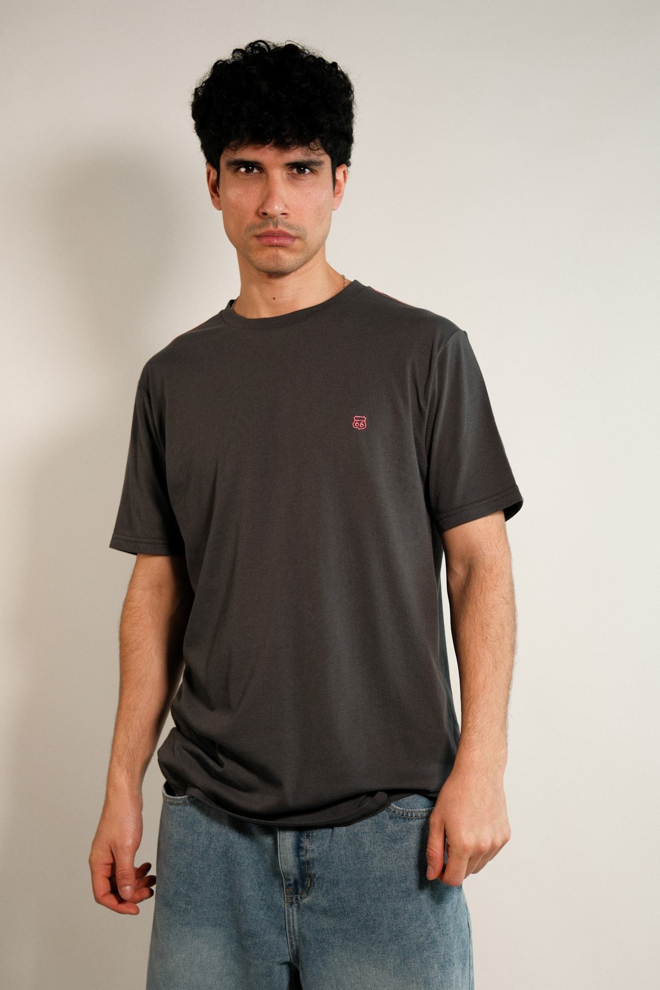 Remera lisa Hans