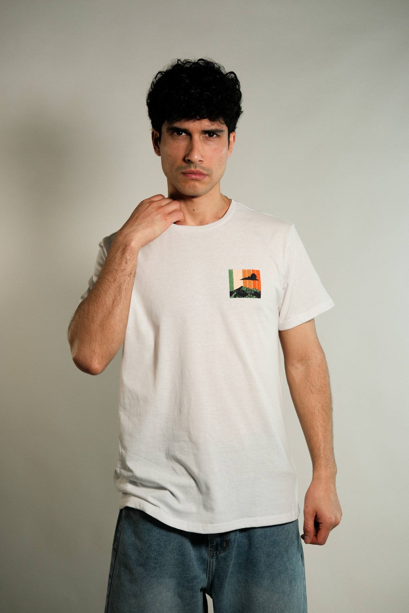 Remera estampada Forlano 
