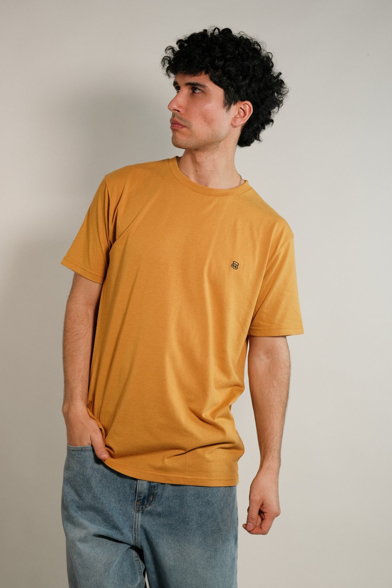Remera lisa Hans