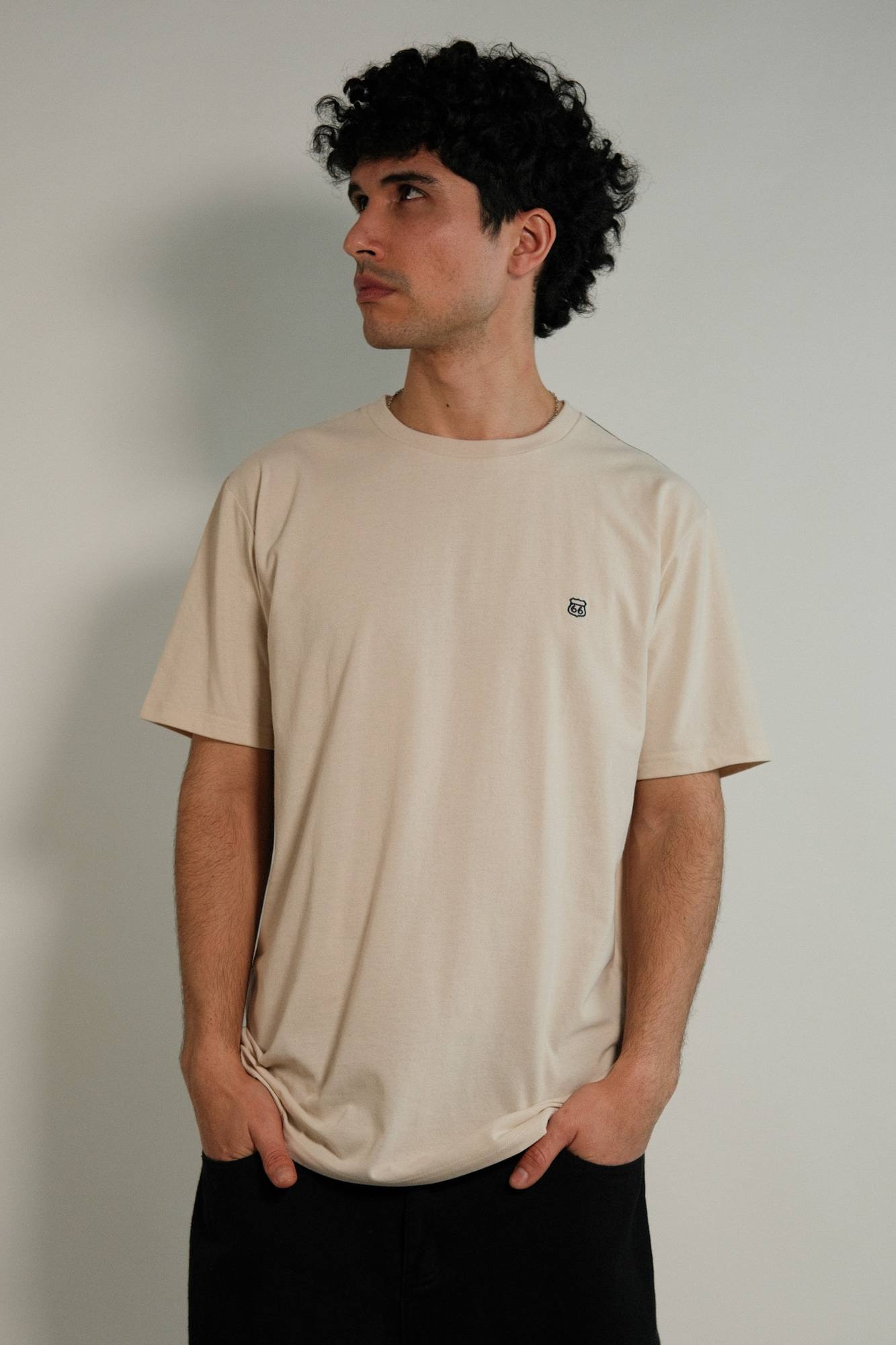 Remera lisa Hans