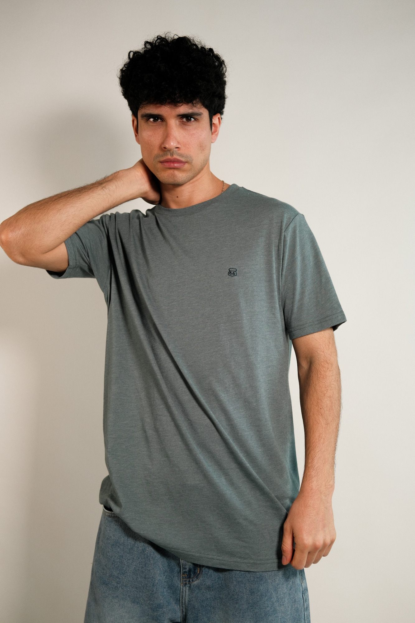 Remera lisa Hans