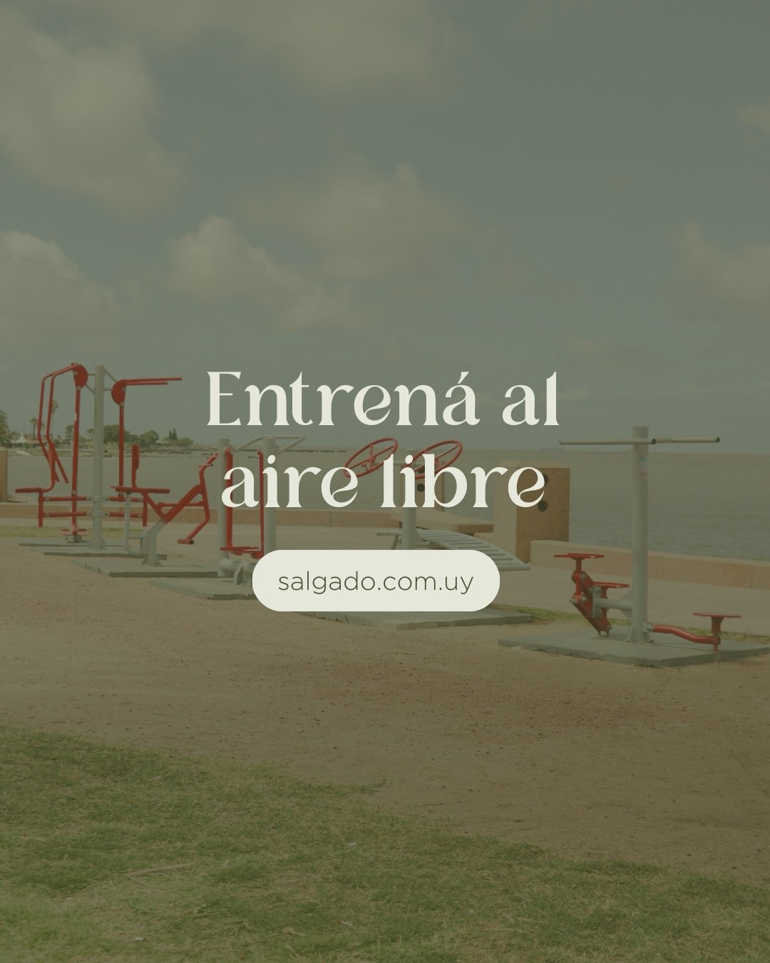 Imagen de posteo de Instagram