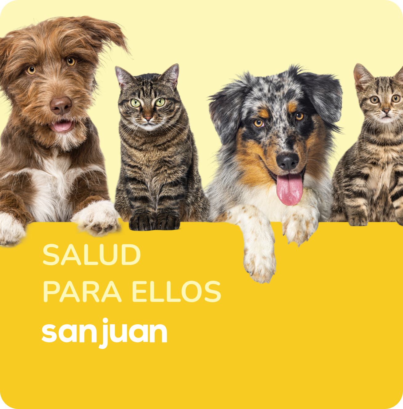 SAN JUAN - TIENDA DE MASCOTAS Todo para tu mascota