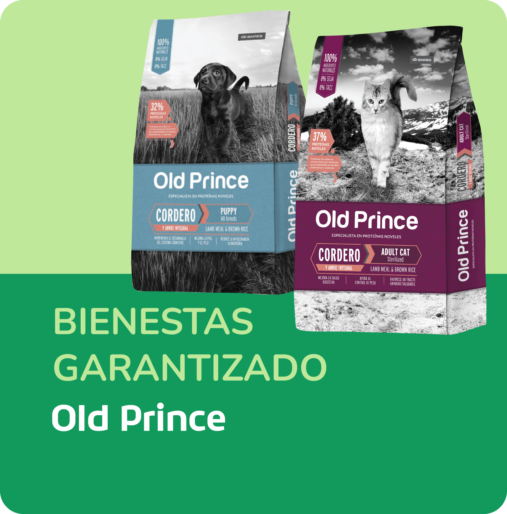 SAN JUAN - TIENDA DE MASCOTAS Old Prince