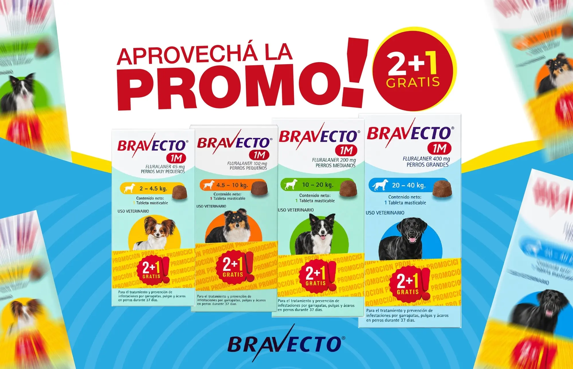 BRAVECTO