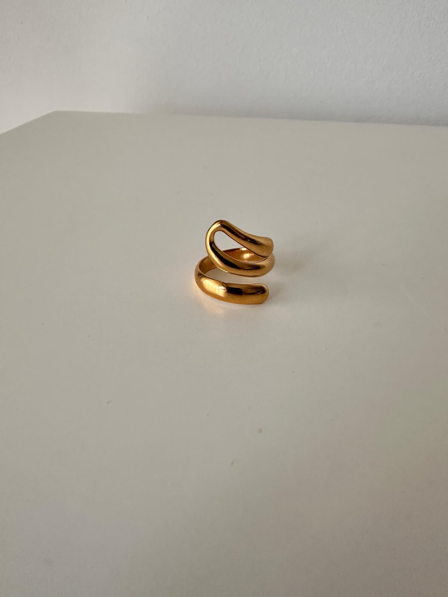 ANILLO ZIG
