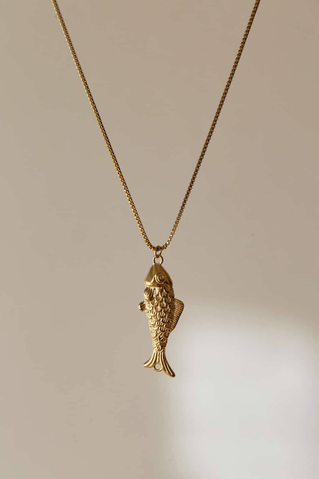 COLLAR SARDINA