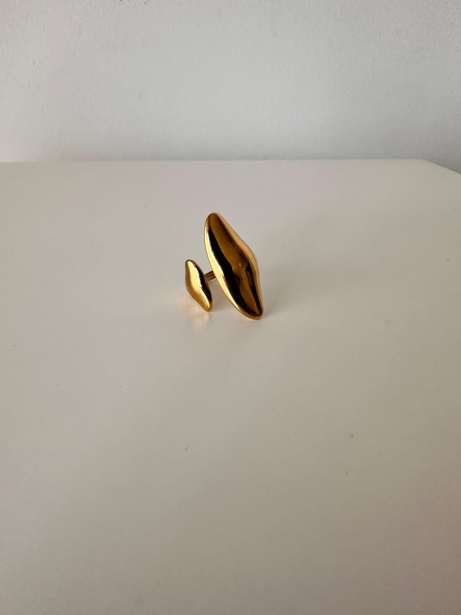 ANILLO SHIELD