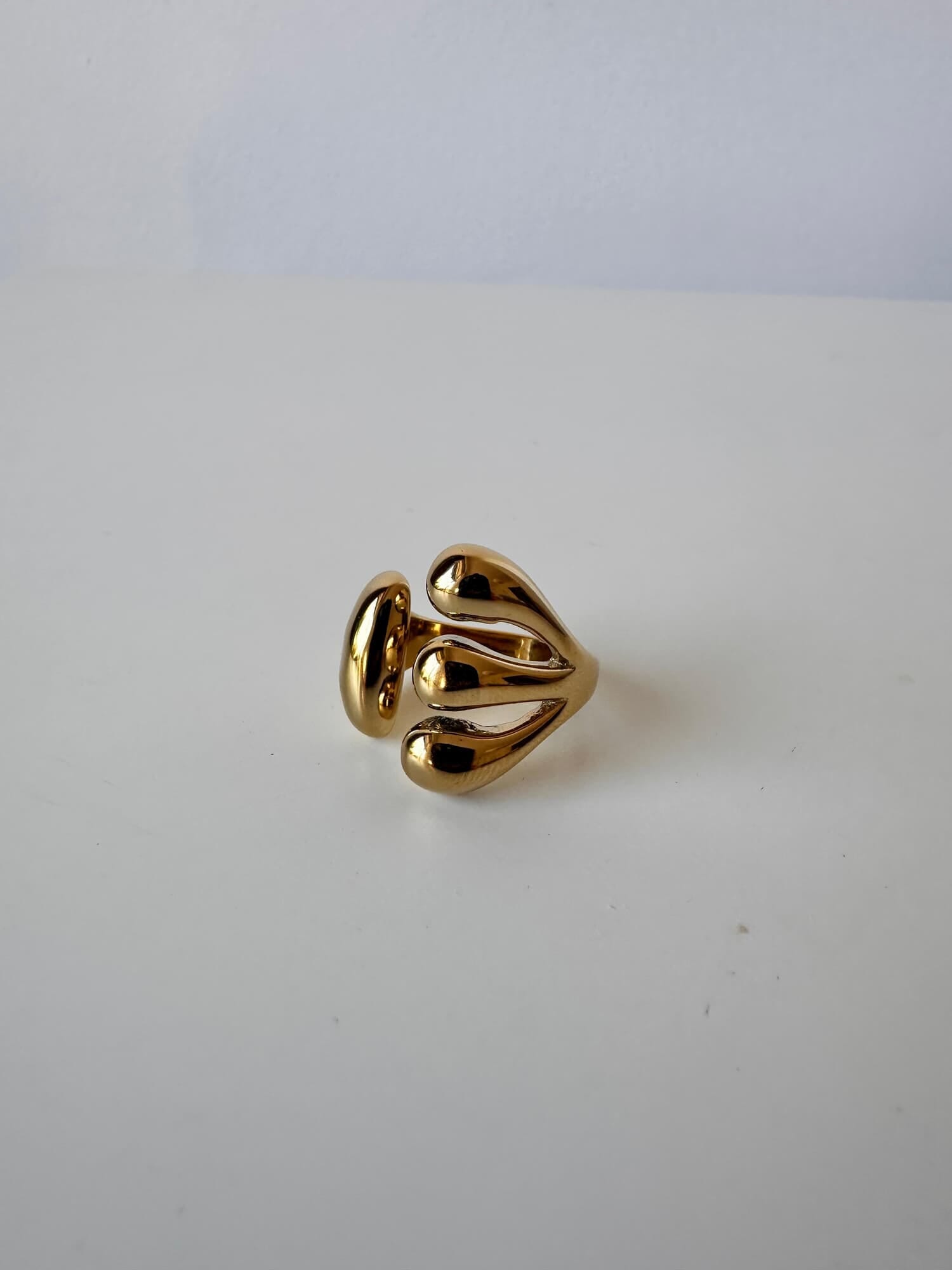 ANILLO FLUBBER