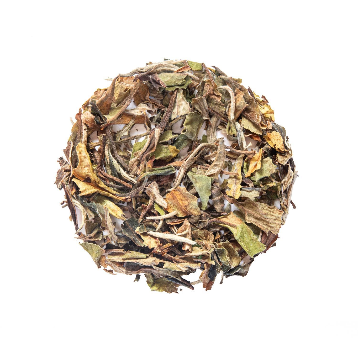Té blanco puro orgánico Pai Mu Tan