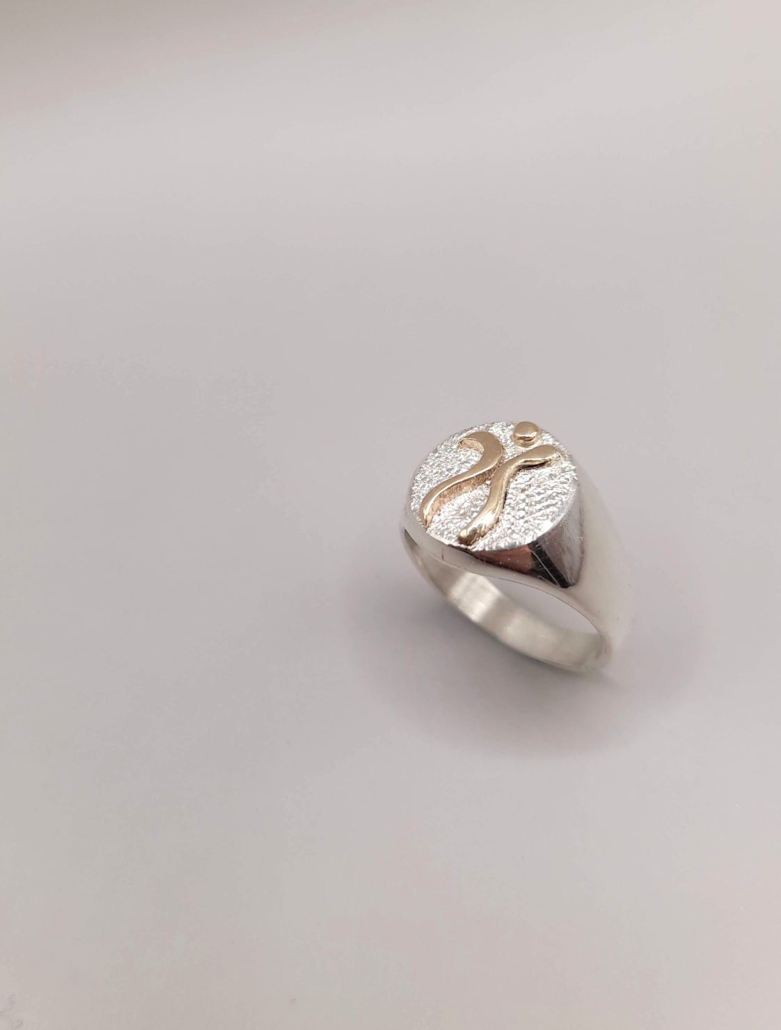 Anillo Lic. Educación Fisica