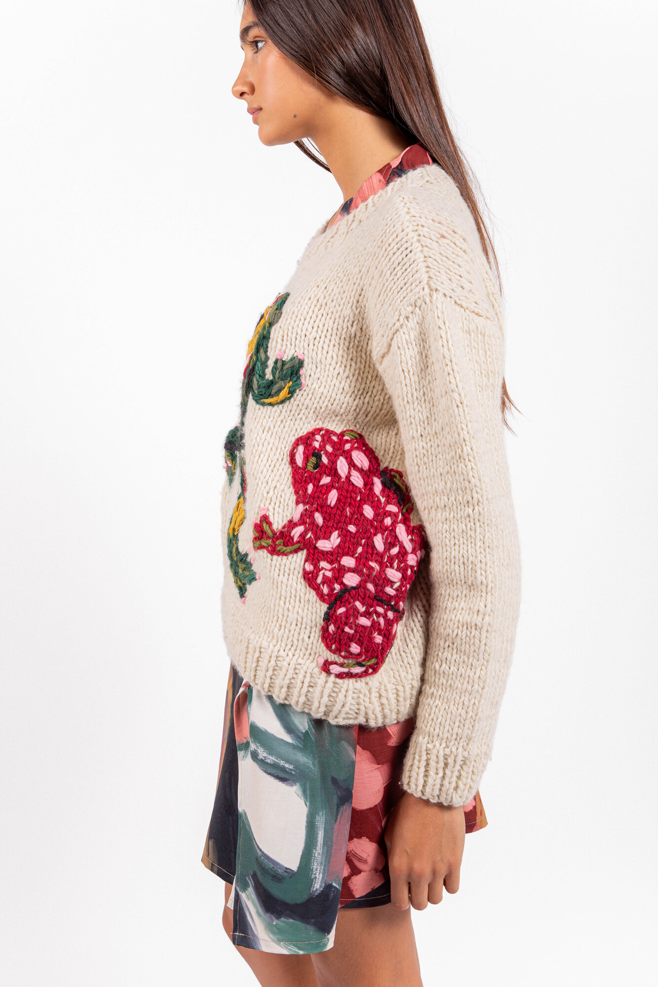 Sweater Frog