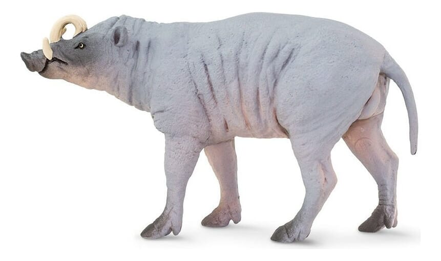 Babirusa Cerdo Safari Figura Muñeco Real Mamífero Niños Tx