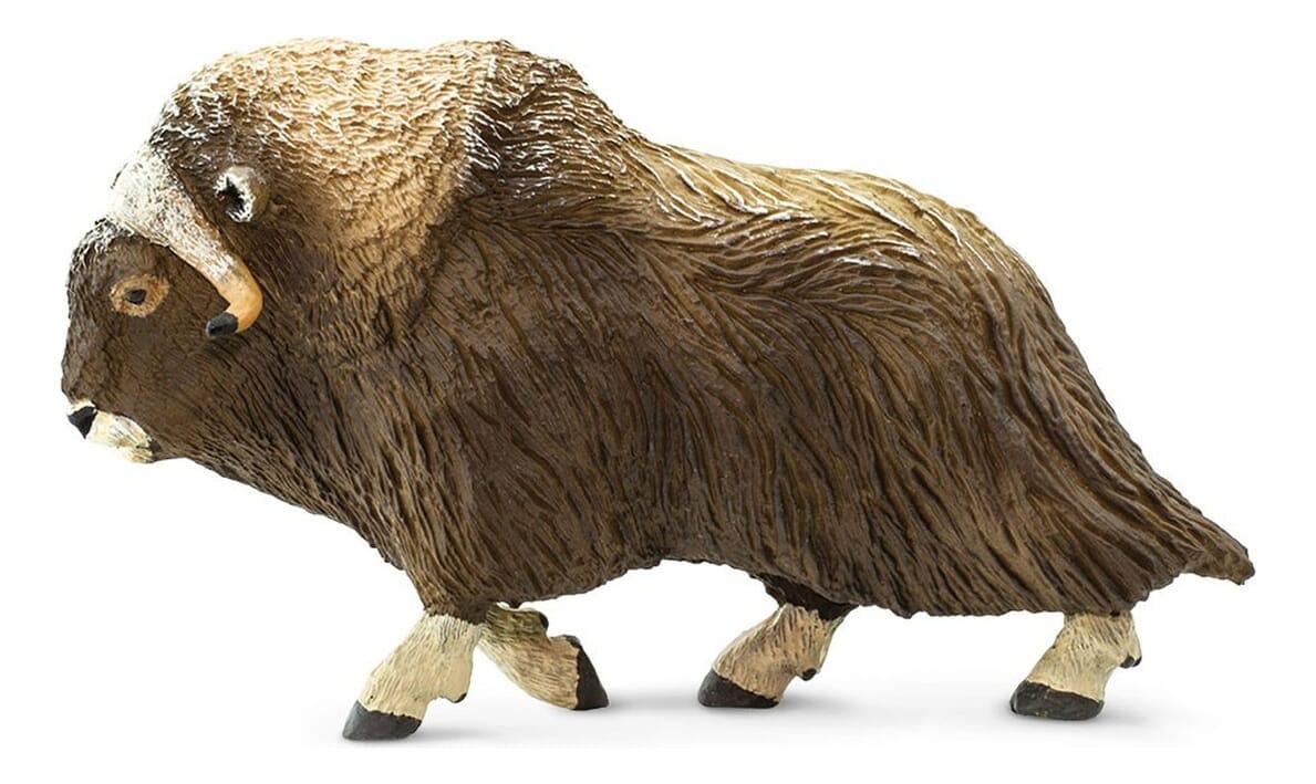 Buey Almizclero Mamifero Escala Safari Muñeco Animal Trex