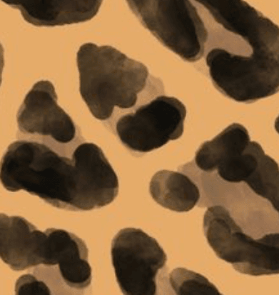 ANIMAL PRINT