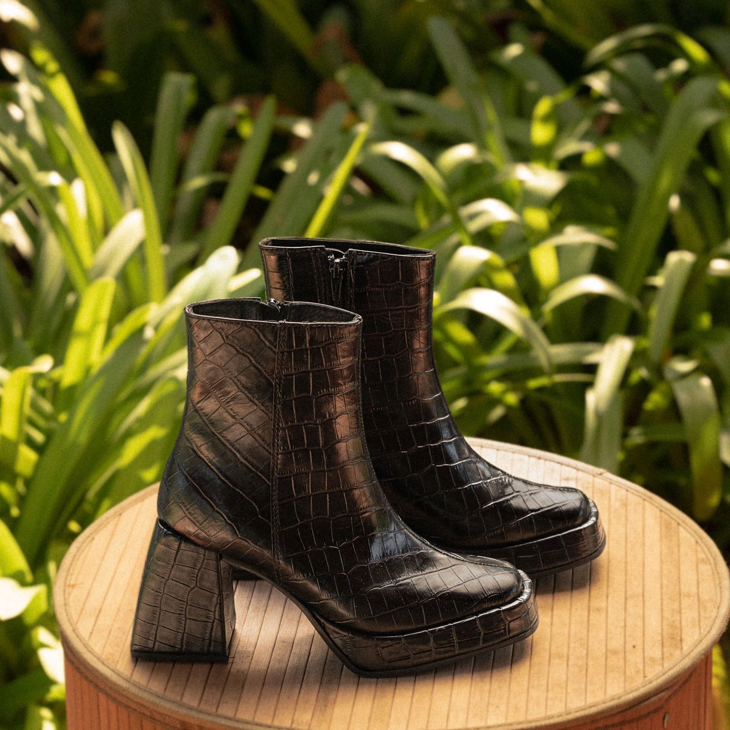 BOTA MICHIGAN
