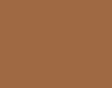 CAMEL Y MARRON