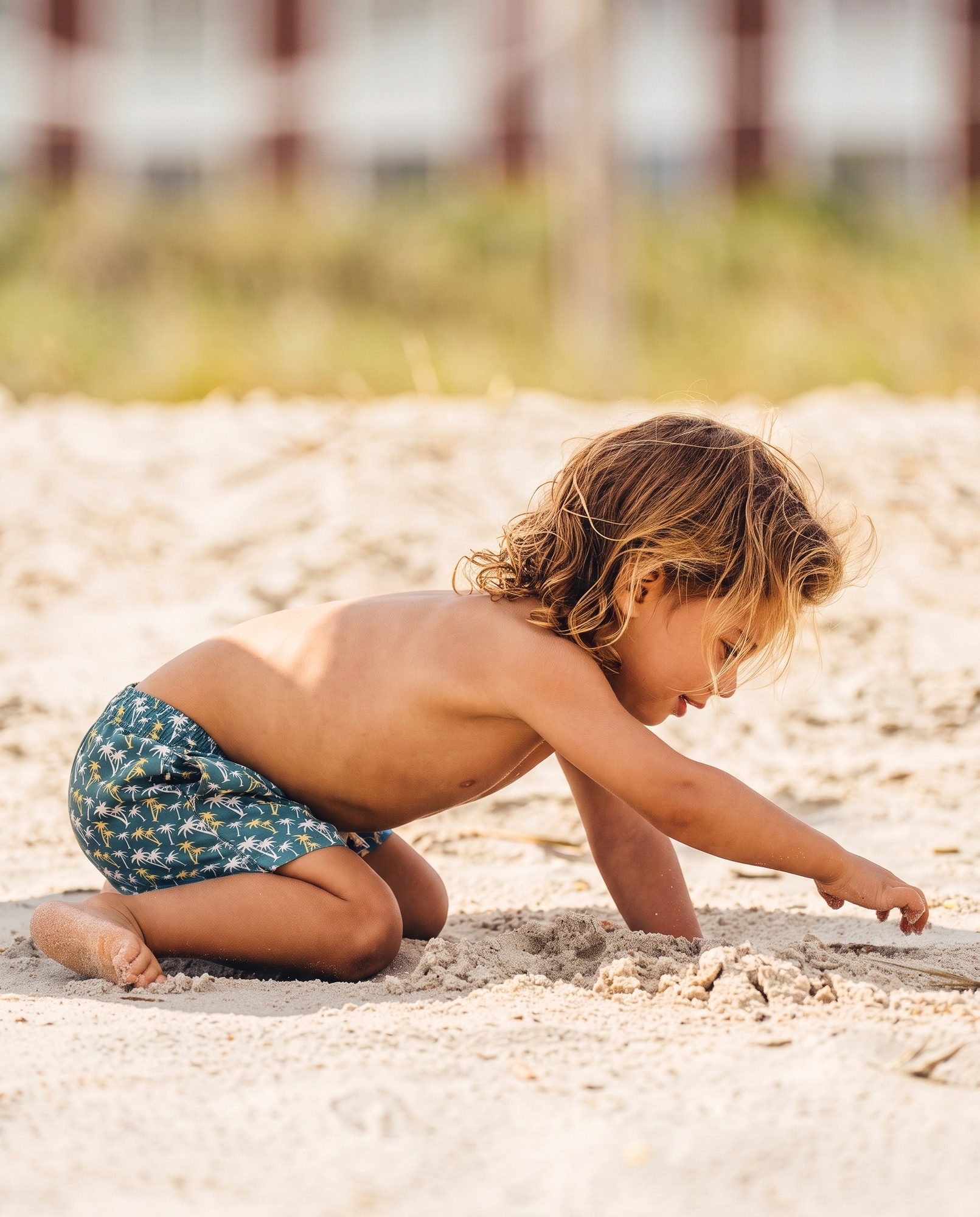 CALIFORNIA NIÑO